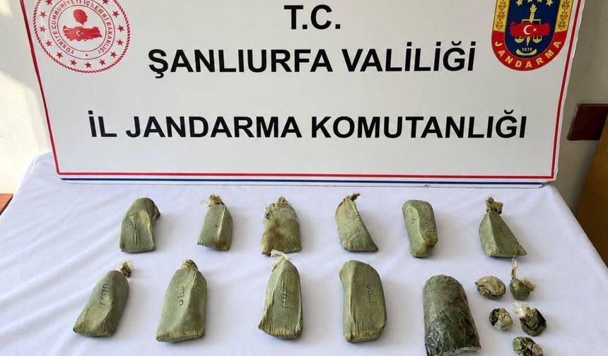 Suruç’ta Şüphelinin Evinden Çıktı! Jandarma 5,5 Kilo Esrar Buldu