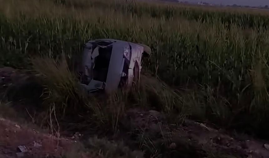 Akçakale’de otomobil mısır tarlasına devrildi: 3 yaralı